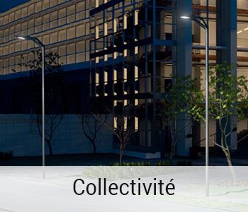 Collectivit&eacute;